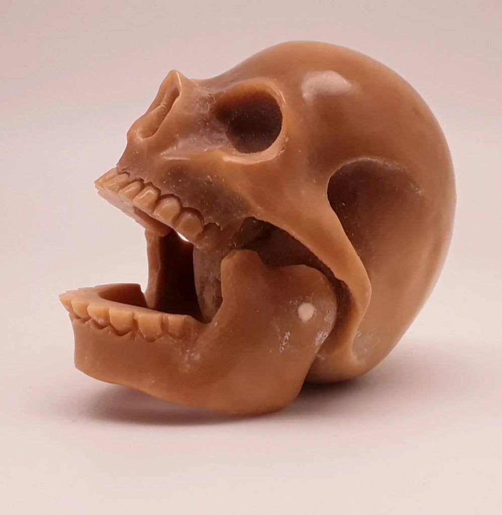 Skull Tagua Nut Carving
