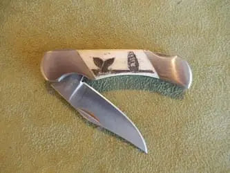 Pinto Rough Rider Pocket Knife W/scrimshaw - Whale Tail