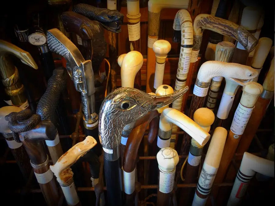 Marsh Cane Collection Collections – Scrimshanders