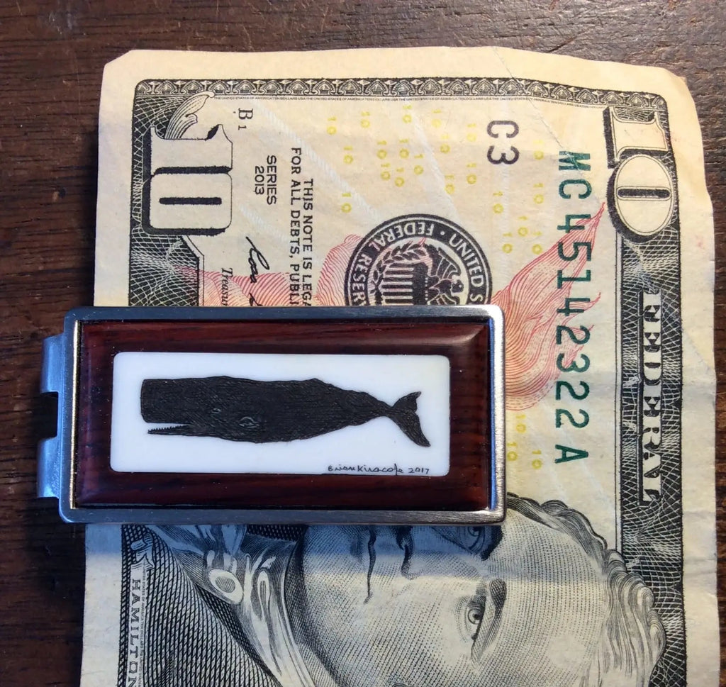 Money Clips - Spring Style - Piano Key Ivory - Whale /