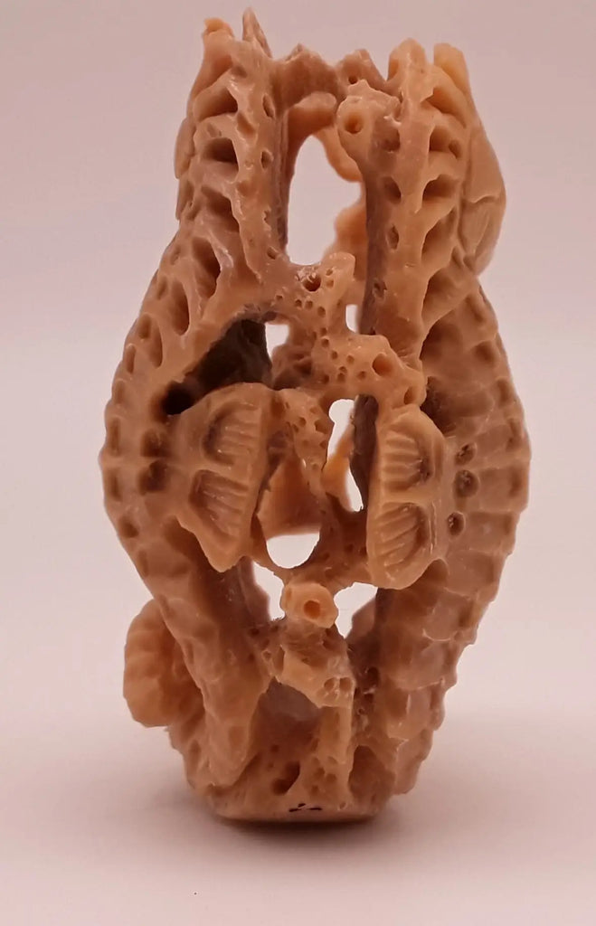 Seahorse Tagua Nut Carving